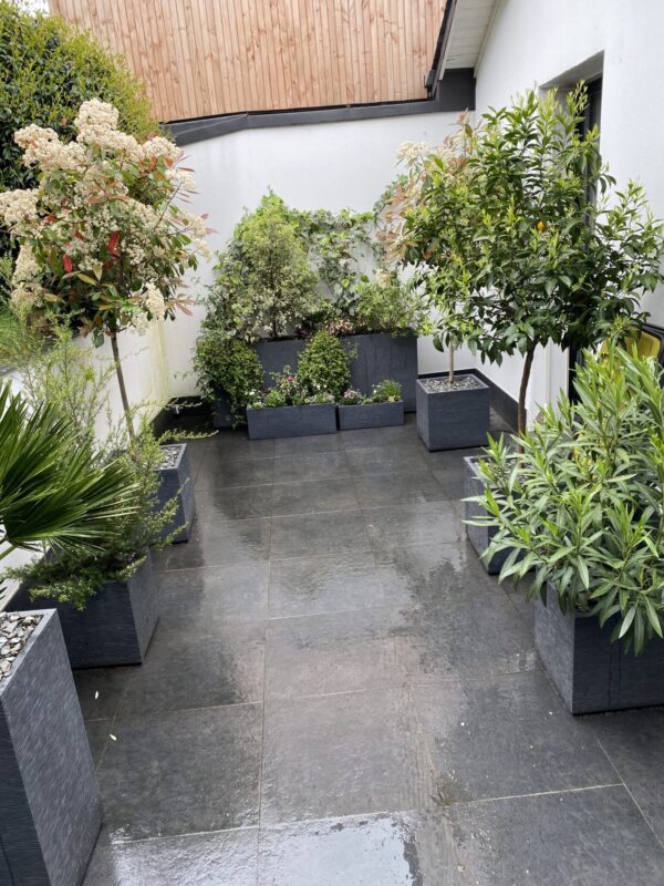 Mise en place d’un aménagement végétal dans un patio très protégé des variations de températures