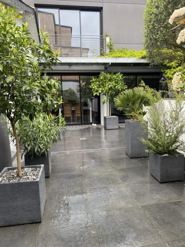 Mise en place d’un aménagement végétal dans un patio très protégé des variations de températures